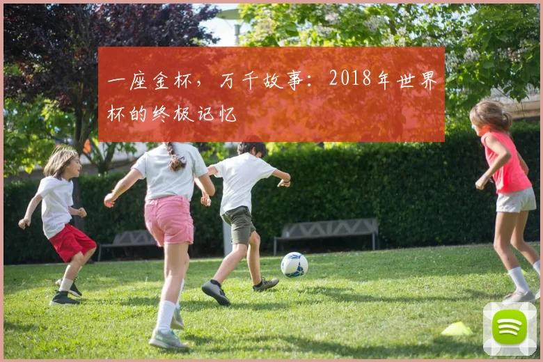 一座金杯，万千故事：2018年世界杯的终极记忆